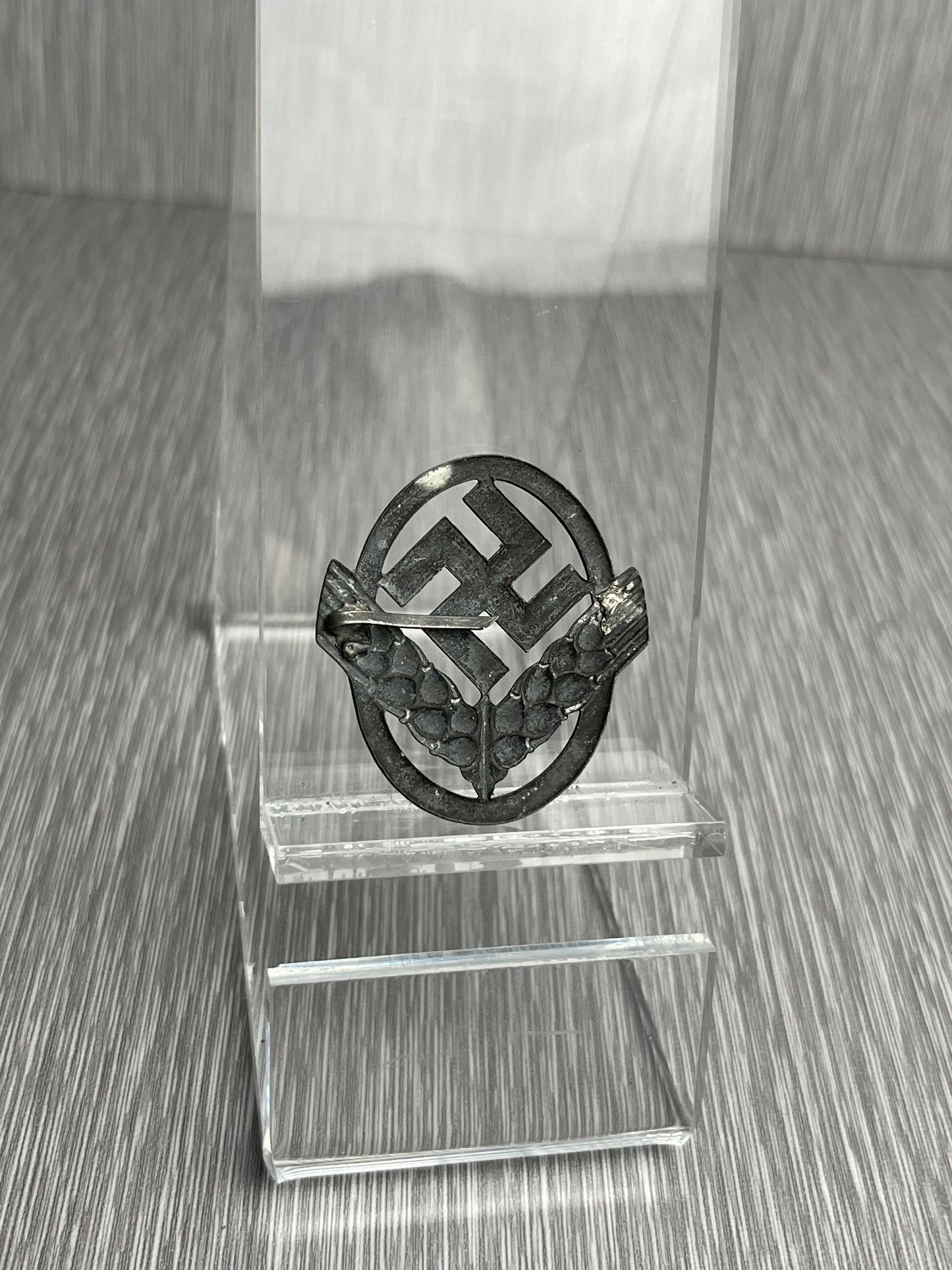 GERMAN WW2 RADwJ FEMALE WAR HELPER CAP BADGE