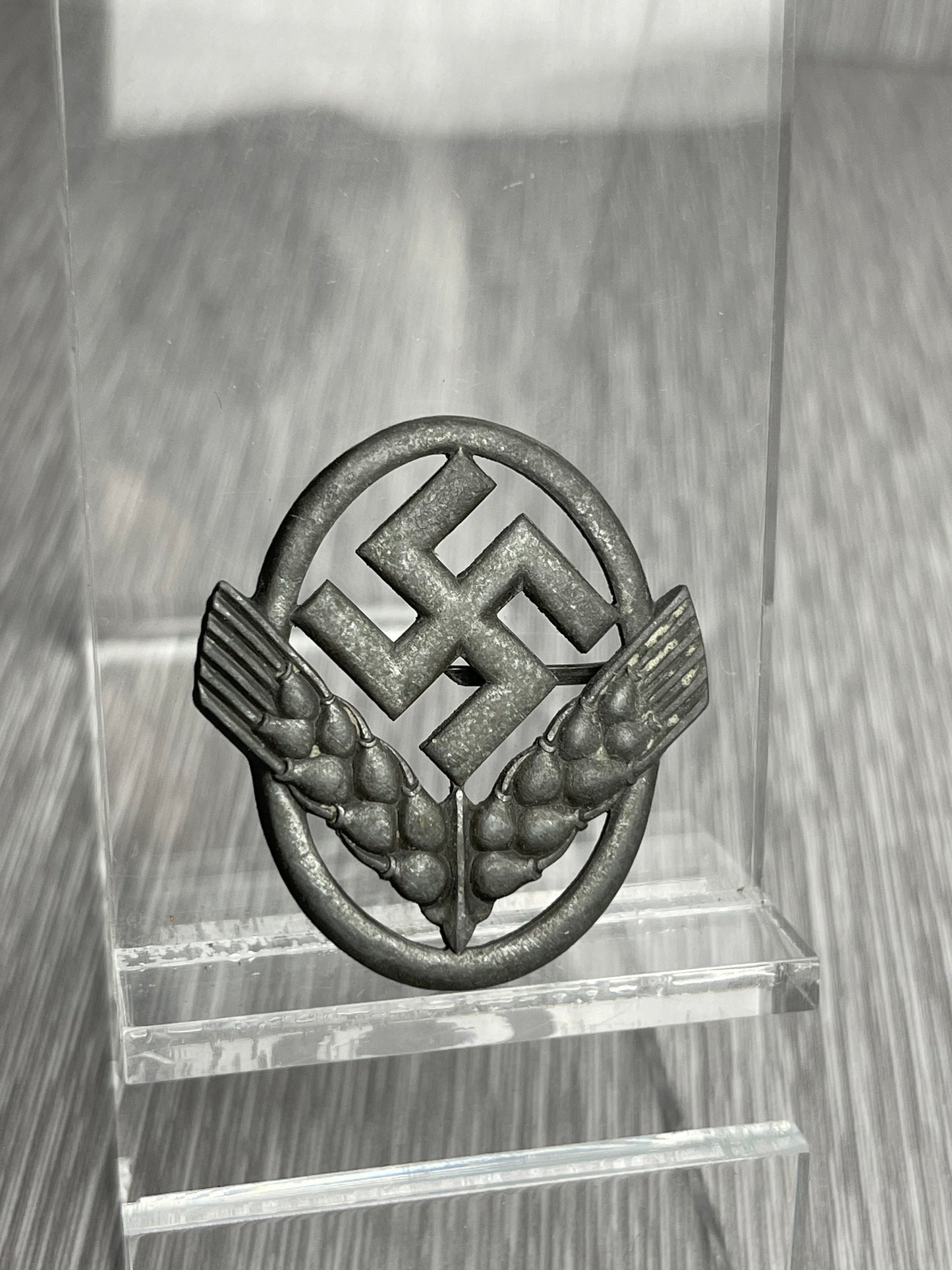 GERMAN WW2 RADwJ FEMALE WAR HELPER CAP BADGE