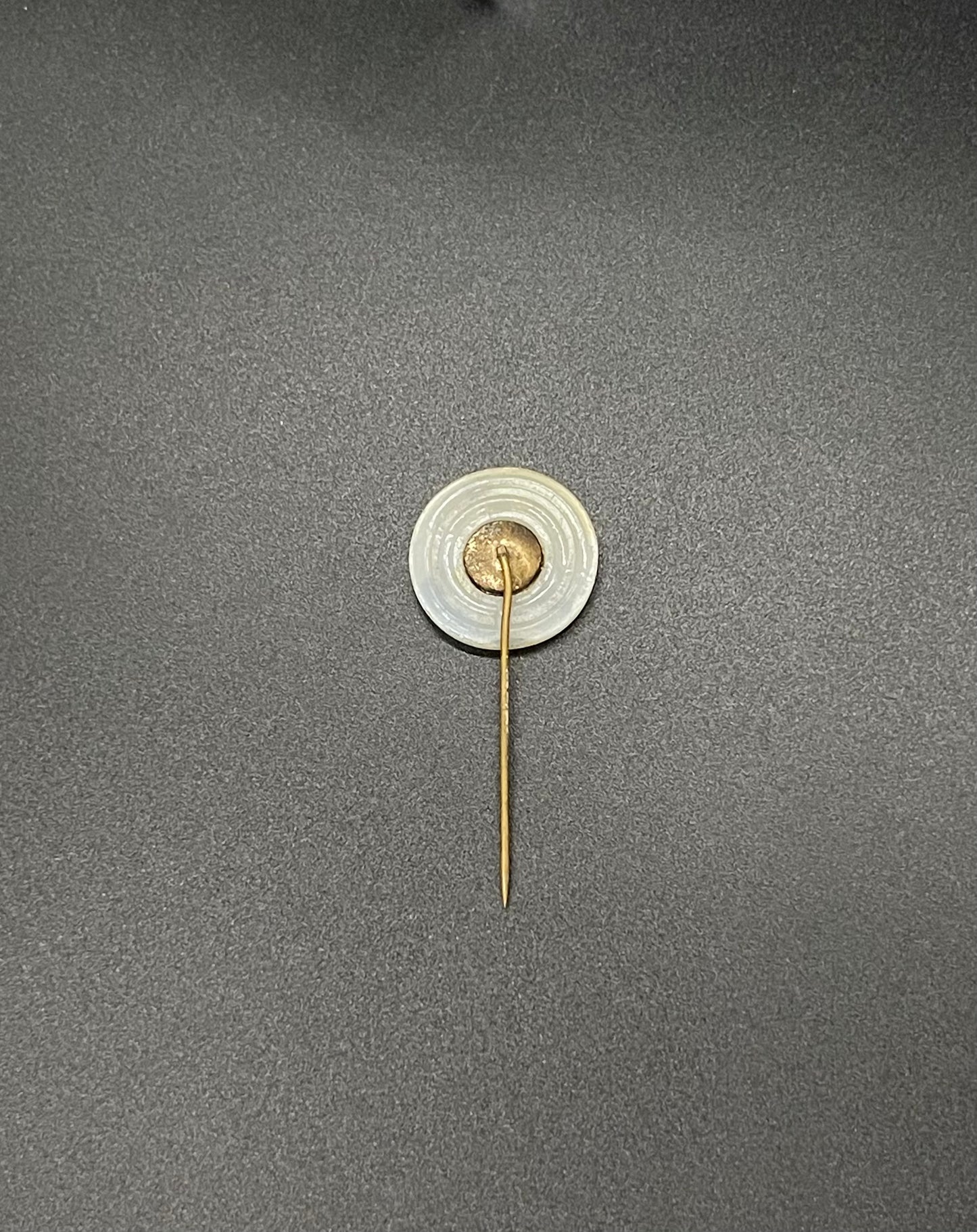 GERMAN WW2 NSDAP MEMBER/SUPPORTER GILDED PLASTIC STICKPIN